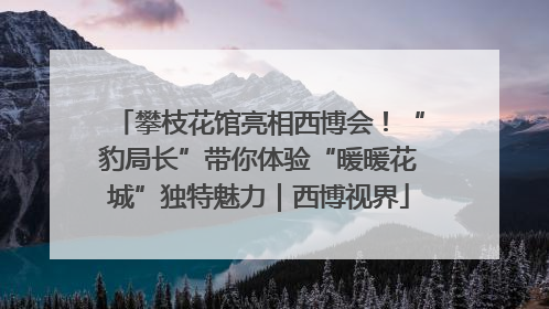 攀枝花馆亮相西博会！“豹局长”带你体验“暖暖花城”独特魅力｜西博视界